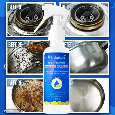 Kitchen Cleaner Spray Oil Grease Staun Remover Chimney Grill Cleaner