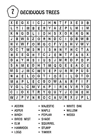 Super Word Search Pack -3 (6 TITLES): Interactive  Activity  Children Book-thumb2