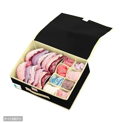 Buy Unicrafts Lingerie Storage Organizer 15+1 Compartment Non-Smell Undergarments  Organizer With Lid Non-Woven Drawer Dividers Innerwear Foldable Storage Box  for Wardrobe Closet Pack of 1 Pc Black Online In India At Discounted