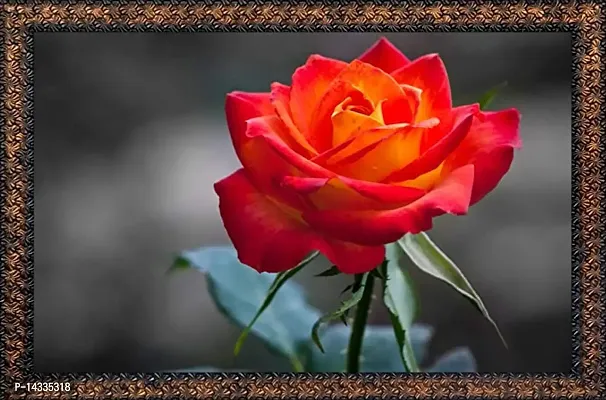 Beautiful Beautiful Rose Flower Digital Wall Painting with Special Effects Sparkle Lamination Synthetic Solid Wooden Frame (h37f, 55 x 76 cm)