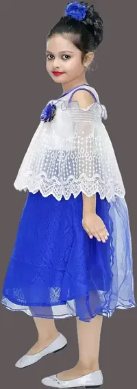 Fabulous Blue Net Printed Dress For Girls-thumb1