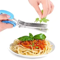 5 Blade Vegetable Stainless Steel Herbs Scissor-thumb3