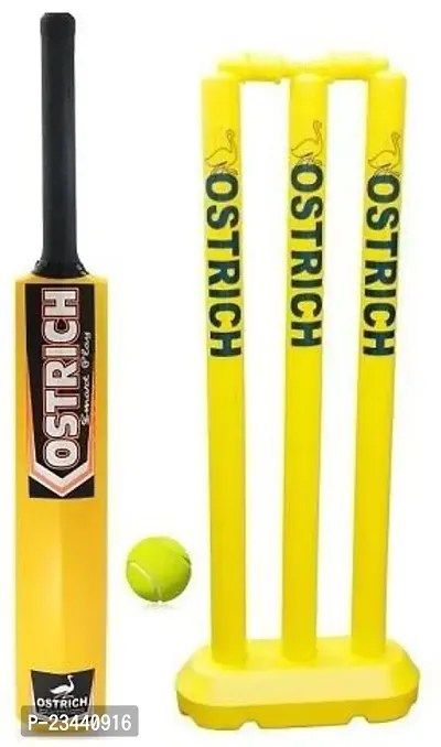 Hard Plastic Cricket Kit Combo For Age Group 8 Years Juniors Cricket Kit ()