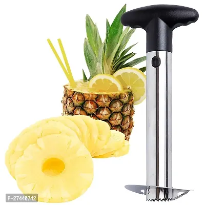 Stylish Stainless Steel Pineapple Corer Cutter Slicer Wedger Dicer Peeler Fruit Tool - Cut Pineapple Quick And Easy Without A Knife-thumb0