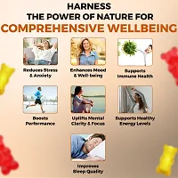 The Body Reserve Stress Relief Ashwagandha Gummies with Natura l 30 Gummies.-thumb4