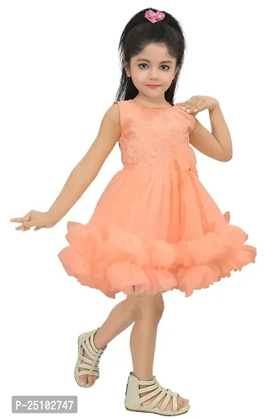 N.FASHION AFIYA Net Casual Embroidered Knee Length Sleeveless Frock Dress for Girls-thumb3