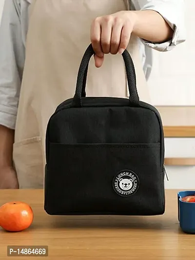Insulated Travel Lunch/Tiffin/Storage Handbags