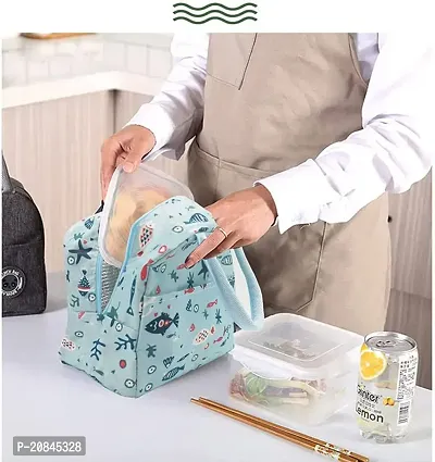 Insulated Travel Lunch/Tiffin/Storage Bag Leakproof Hot/Cold for Men Women Unisex, Office, College  School
