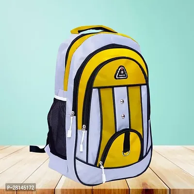 Medium 30 L Laptop Backpack Waterproof Laptop Backpack/School Bag/College Bag