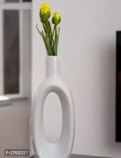 Elegant Vase For Home Decor