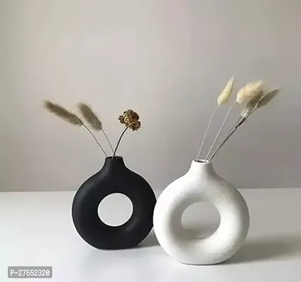 Elegant Vase For Home Decor