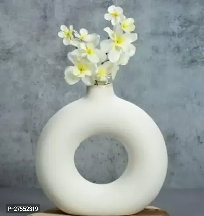 Elegant Vase For Home Decor