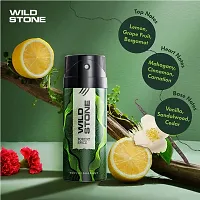 Wild Stone Forest Spice Deodorants for Men, Pack of 2 (150ml each)-thumb3