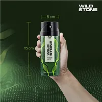 Wild Stone Forest Spice Deodorants for Men, Pack of 2 (150ml each)-thumb4