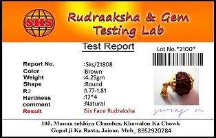 Shiv Ram Jyotish Kendra Certified six face rudraksha Pendant-thumb3