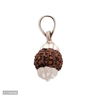 Shiv Ram Jyotish Kendra Seven Face Indonesian Silver Rudraksha Pendant