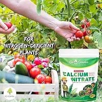 Calcium Nitrate Fertilizer, 100% Water-Soluble Plant Food Ready To Use For All Plants 950 Gram -100% Water Soluble Fertilizer-thumb1