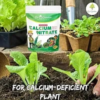 Calcium Nitrate Fertilizer For Plants -100% Water Soluble Fertilizer Plant Food Ready To Use For All Plants 950 Gram-thumb2