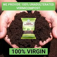 Vermicompost Complete Plant Food Effective Organic Fertilizer And Manure For Kitchen Home Garden Plants 1Kg-thumb3