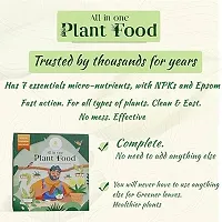 - All In One Plant Fertilizer, Mixed Plant Food For House Plants, Complete Nutrition With Micronutrients - For Better Plant Growth, 10 Sachets, 250 Gram, Powder-thumb1