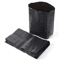 8 X 10 Inch Plastic Poly Grow Bags For Home Gardens - Perfect For Plantation And Used In Every Plant Nursery - Ideal For Home Plants -Black - 50 Qty-thumb4