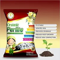 Perlite For Plants - Hydroponics And Horticulture Terrace Gardening, Essential Soil Conditioner Healthy Root Growth Organic Gardening 500 Gram-thumb1