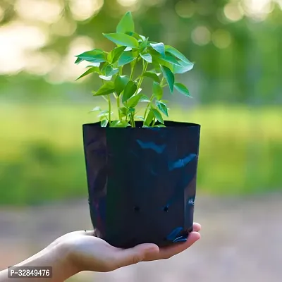 5 X 7 Inch Plastic Poly Grow Bags For Home Gardens - Perfect For Plantation And Used In Every Plant Nursery - Ideal For Home Plants -Black - 100 Qty-thumb5