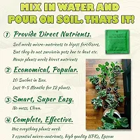 All In One Plant Food Fertilizer Better Plant Growth Guaranteed - Water Soluble Formula For Easy Use Of Plants 10 Sachets, 250 Gm-thumb4