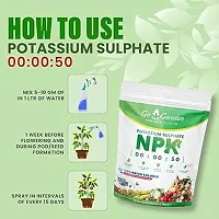 Potassium Sulphate Npk 00:00:50 Fertilizer Powder Water Soluble, Suitable For All Types Of Plants And Agriculture Crops.-thumb1