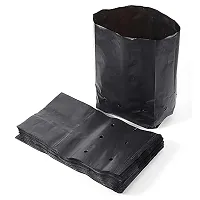 12 X 12 Inch Plastic Poly Grow Bags For Home Gardens - Perfect For Plantation And Used In Every Plant Nursery - Ideal For Home Plants -Black - 50 Qty-thumb4