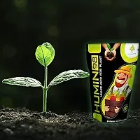 Humic Acid For Plants -Humic Acid 98% - Natural Plant Growth Stimulator - Organic Plant Food Powder - 400 Gm-thumb3