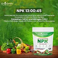 Potassium Nitrate Kno3 Npk 13-0-45 Fertilizer 100% Water Soluble Crystalline Powder Multi-Purpose For Indoor And Outdoor Plant 900 G-thumb2