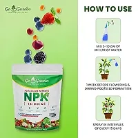 Potassium Nitrate Kno3 Npk 13-0-45 Fertilizer 100% Water Soluble Crystalline Powder Multi-Purpose For Indoor And Outdoor Plant 900 G-thumb3