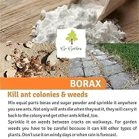 Borax Powder 100% Pure Whitening And Cleaning Power For Clothes Slime For Kids Ants Killer Floor Cleaner Drain Cleaner 400 Gram-thumb4