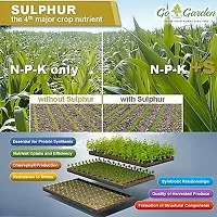 Sulphur 90% Wg Micronutrient Fertilizer 900G - Enhances Yield Quality And Quantity, Ideal For Fruits, Flowers, Vegetables-thumb2