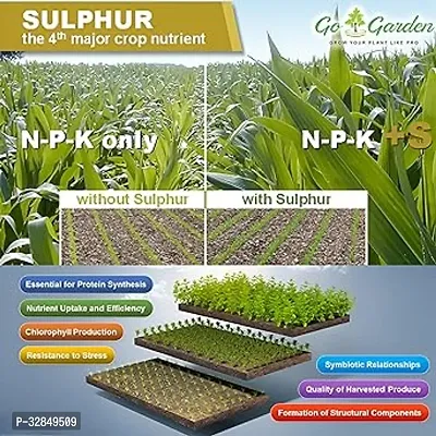 Sulphur 90% Wg Micronutrient Fertilizer 900G - Enhances Yield Quality And Quantity, Ideal For Fruits, Flowers, Vegetables-thumb3