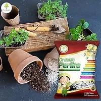 Perlite For Plants - Hydroponics And Horticulture Terrace Gardening, Essential Soil Conditioner Healthy Root Growth Organic Gardening 500 Gram-thumb2