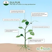 Sulphur 90% Wg Micronutrient Fertilizer 900G - Enhances Yield Quality And Quantity, Ideal For Fruits, Flowers, Vegetables-thumb4