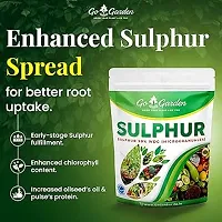 Sulphur 90% Wg Micronutrient Fertilizer 900G - Enhances Yield Quality And Quantity, Ideal For Fruits, Flowers, Vegetables-thumb1