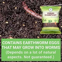 Vermicompost Complete Plant Food Effective Organic Fertilizer And Manure For Kitchen Home Garden Plants 1Kg-thumb2