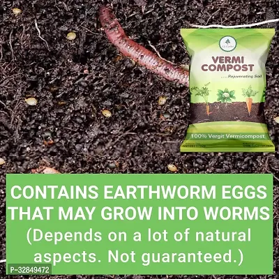 Vermicompost Complete Plant Food Effective Organic Fertilizer And Manure For Kitchen Home Garden Plants 1Kg-thumb3