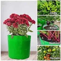 Terrace Gardening Grow Bag -12 X 12 Inch - -Pack Of 4, Grow Bag For Home Garden Grow Bag-thumb4