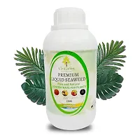 Liquid Seaweed Fertilizer For Plants Concentrate Organic Fertilizer For Plant And Garden 250Ml-thumb3