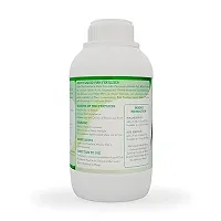 Liquid Fish Fertilizer For Plants - Widely Used For Lemon Plant - All Purpose Liquid Fertilizer Vigorous Plant Growth 250 Ml-thumb3