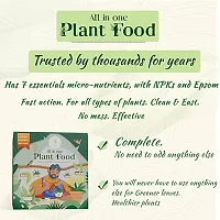 All In One Plant Food Fertilizer Better Plant Growth Guaranteed - Water Soluble Formula For Easy Use Of Plants 10 Sachets, 250 Gm-thumb1