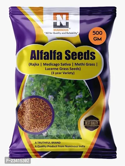 Numinous Alfalfa, Alfa Alfa, Lucerne, Medicago Sativa, Lucerne, Methi, Rajka 3 Sali Fodder Grass Seeds- 3 Year Variety, 500 GMs-thumb0