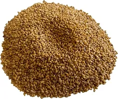 Numinous Alfalfa, Alfa Alfa, Lucerne, Medicago Sativa, Lucerne, Methi, Rajka 3 Sali Fodder Grass Seeds -3 Year Variety - 25 GMs-thumb3