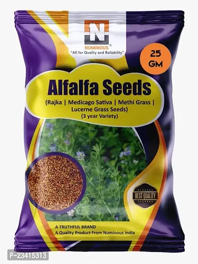 Numinous Alfalfa, Alfa Alfa, Lucerne, Medicago Sativa, Lucerne, Methi, Rajka 3 Sali Fodder Grass Seeds -3 Year Variety - 25 GMs