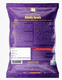 Numinous Alfalfa, Alfa Alfa, Lucerne, Medicago Sativa, Lucerne, Methi, Rajka 3 Sali Fodder Grass Seeds -3 Year Variety - 25 GMs-thumb2