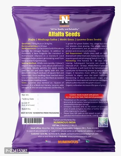 Numinous Alfalfa, Alfa Alfa, Lucerne, Medicago Sativa, Lucerne, Methi, Rajka 3 Sali Fodder Grass Seeds- 3 Year Variety, 500 GMs-thumb3